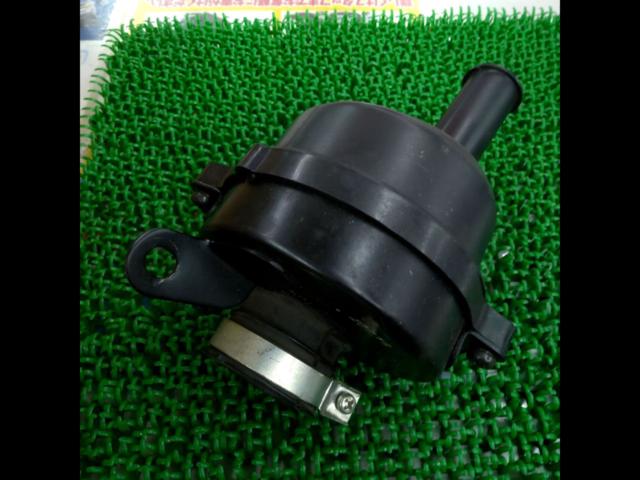 Genuine Honda air filter
Monkey