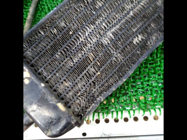 SUZUKI
TS125/model/year unknown
Genuine radiator
Right and left
