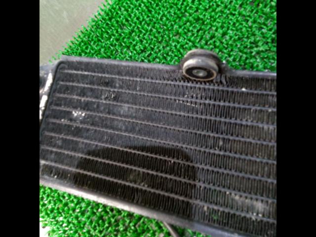 SUZUKI
TS125/model/year unknown
Genuine radiator
Right and left
