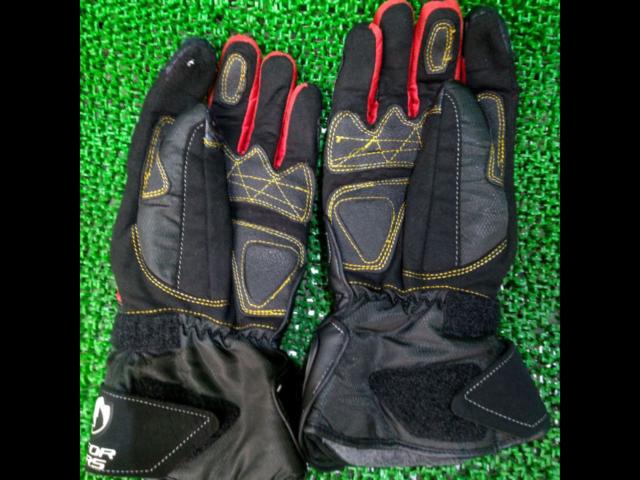 elf
Winter Gloves
Red x Black 1
Size: L