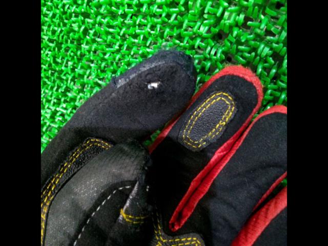 elf
Winter Gloves
Red x Black 1
Size: L