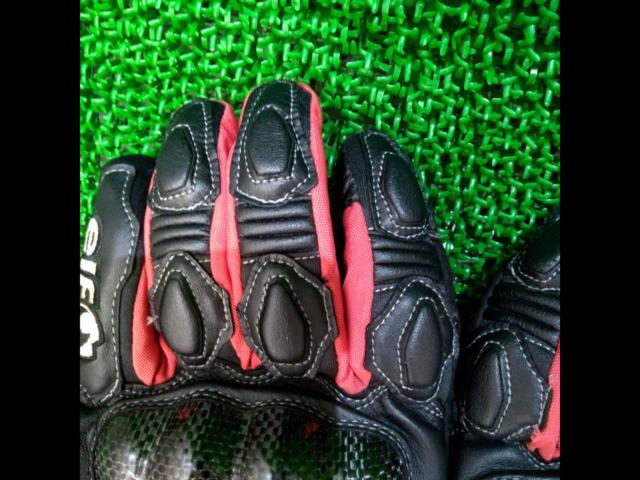 elf
Winter Gloves
Red x Black 2
Size: L