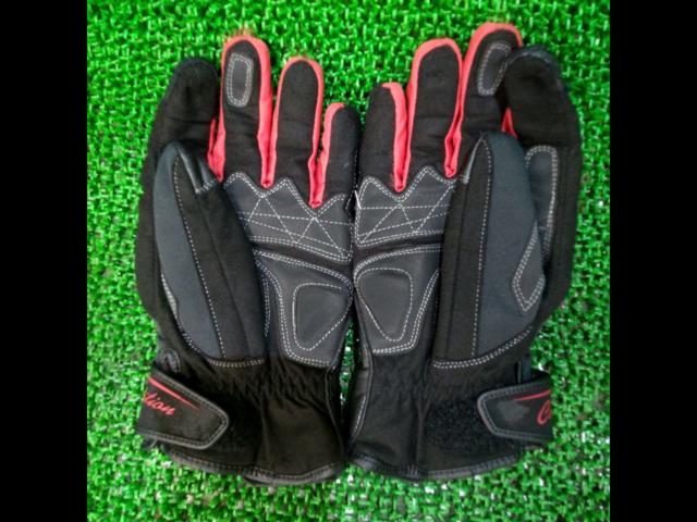 elf
Winter Gloves
Red x Black 2
Size: L