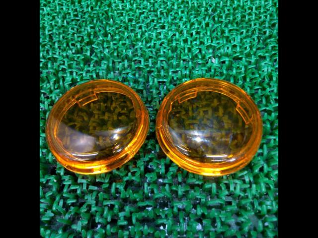 Harley-Davidson Low Rider S ('24) Genuine Turn Signal Lenses
Two