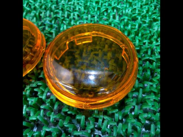 Harley-Davidson Low Rider S ('24) Genuine Turn Signal Lenses
Two