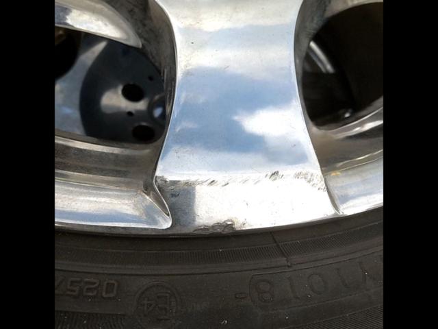 weds
kranze
BAZREIA
689
EVO