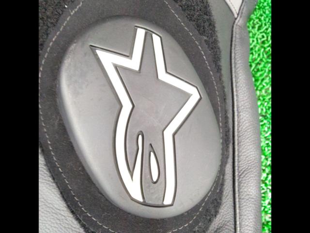 Size: 42 Alpinestars
Motegi
v2
Leather
Suit