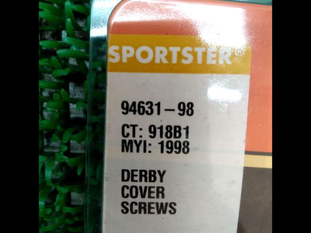 Harley-Davidson
Chrome Derby Cover Screw Kit
94631-98