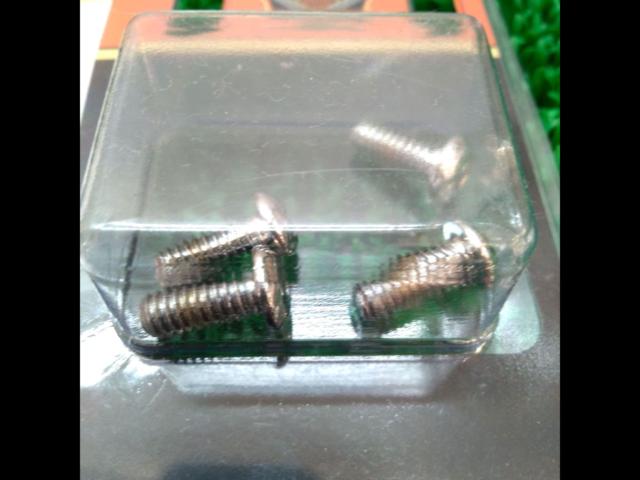 Harley-Davidson
Chrome Derby Cover Screw Kit
94631-98