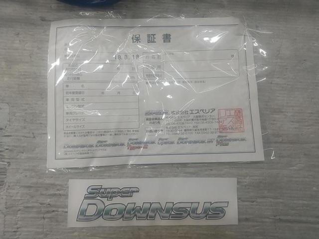 ESPELIR Super
Down suspension