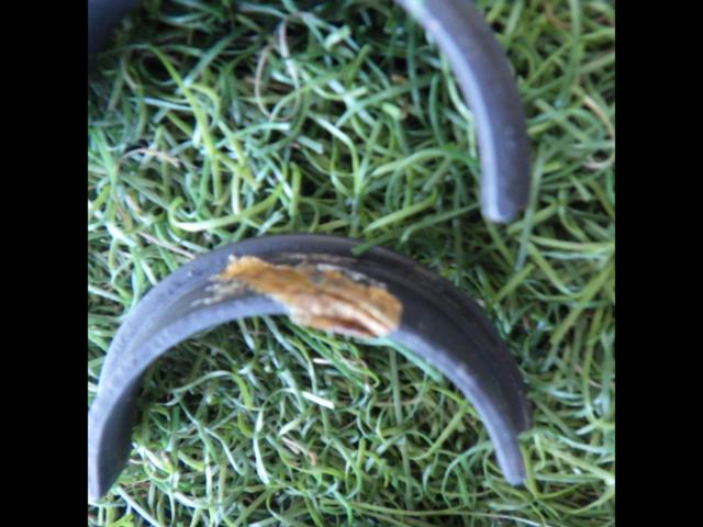 Riders Moriwaki
Engineering Moriwaki
One piece
CB400FOUR
NC36 removal