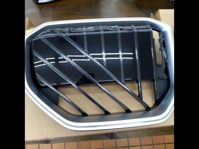 BMW
X3
G45
Genuine
Kidney grill