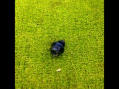 TAKEGAWA
Aluminum drain bolt
M12 × P1.5