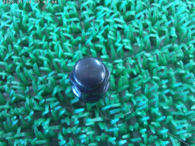 Honda genuine black nuts
Twenty