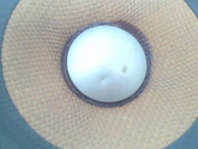 【carrozzeria】 TS-C1000A