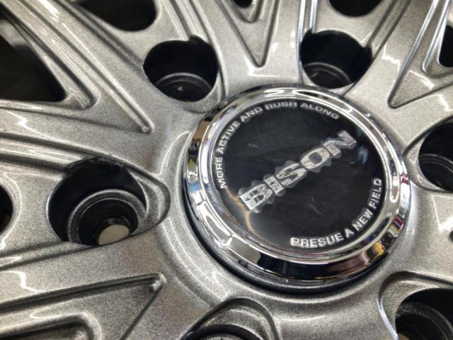 HOT
STUFF
BISON
BN-01