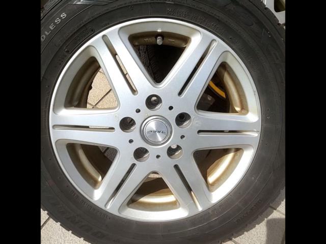 [BIG
WAY (Big Way) TRG (TRG)
TRG-6
(5HOLE)