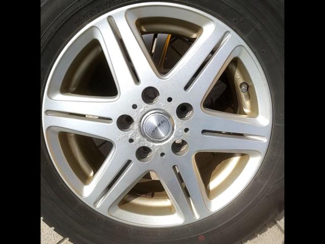 [BIG
WAY (Big Way) TRG (TRG)
TRG-6
(5HOLE)