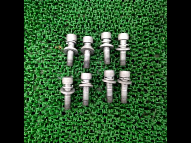 Hydera
PEGASAS
Negative camber plate