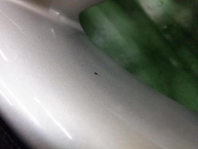 5トヨタ純正(TOYOTA)  クラウンアスリート210系前期純正ホイール  + YOKOHAMA(ヨコハマ) ECOS ES31