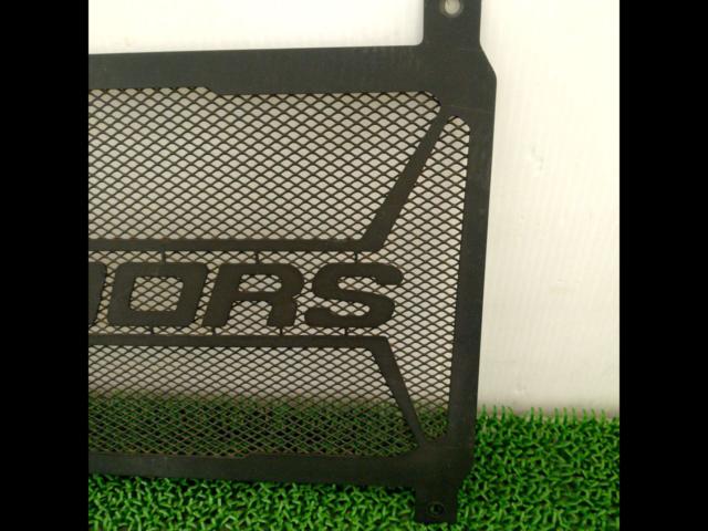 Unknown manufacturer radiator core guard