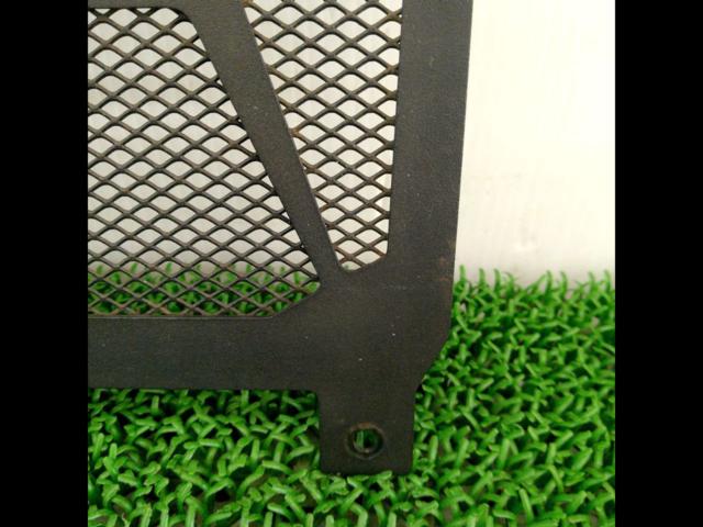 Unknown manufacturer radiator core guard