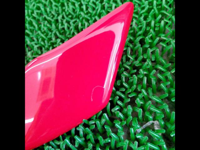 Genuine Honda Civic Type R front grille garnish