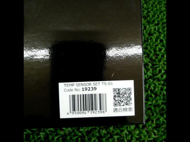 BLITZ temperature sensor
19239