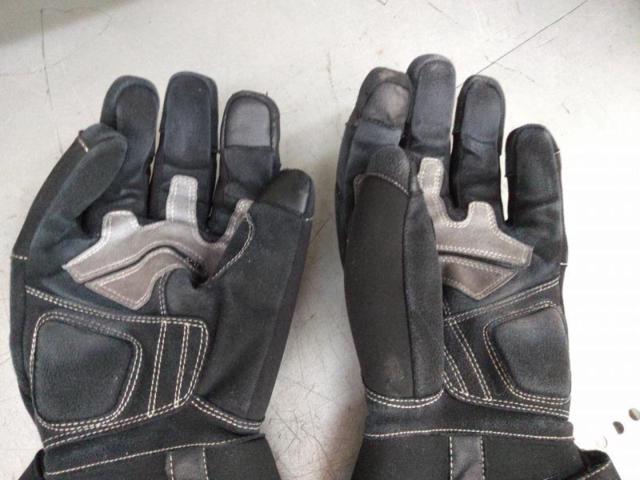 YeLLOW
CORN
Riding Gloves