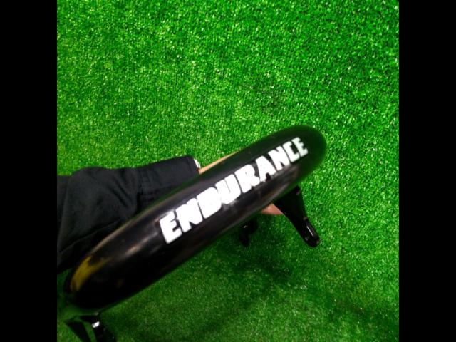 CRF250L (removed from MD47) Endurance
Rear carrier