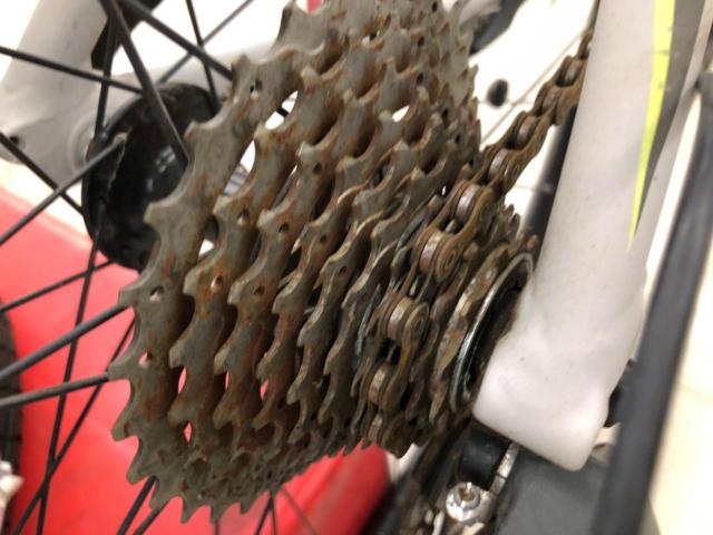 CANNONDALE SYNAPSE