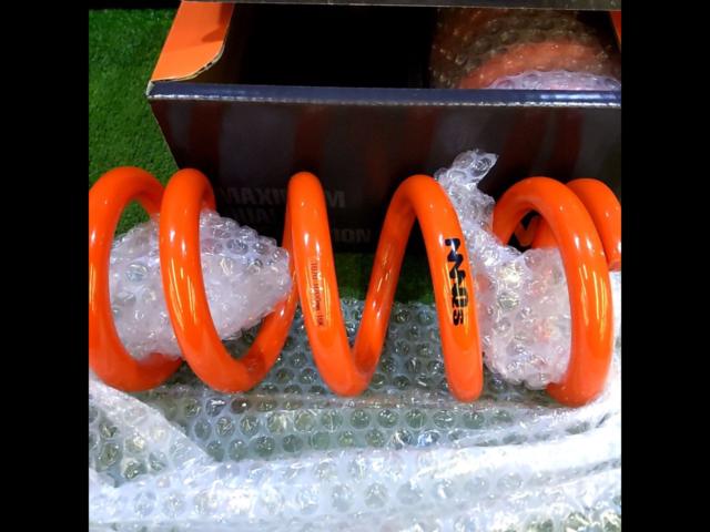 ID70/自由長200mm/16kg】 MAQs 直巻きスプリング | 未使用 | アップ 