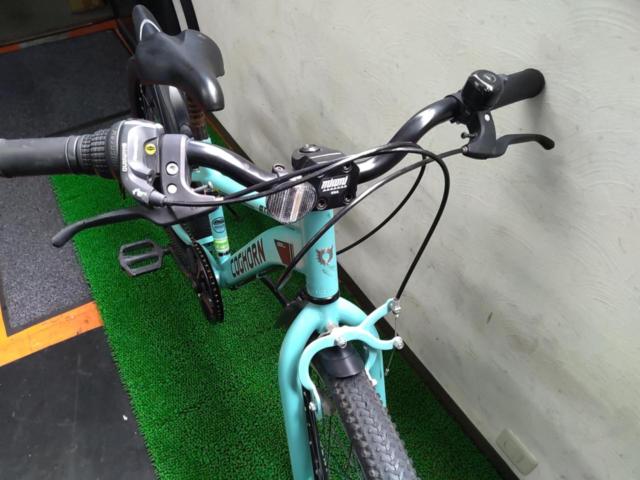 COGHORN ATHLETIC 22インチ外装6段変速 キッズ自転車 グリーン 