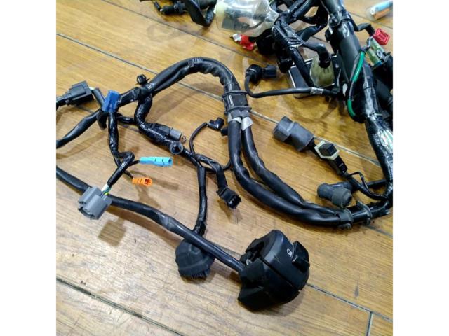 HONDA
Hunter Cub/CT125 Genuine Main Wiring Harness Set