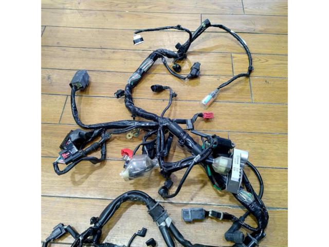 HONDA
Hunter Cub/CT125 Genuine Main Wiring Harness Set