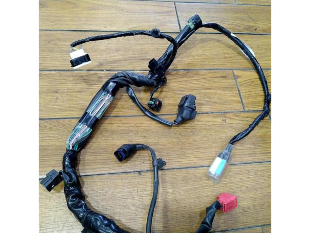 HONDA
Hunter Cub/CT125 Genuine Main Wiring Harness Set