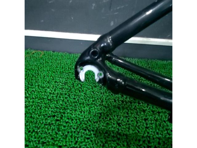※RDハンガー欠品 TREK DOMANE AL2 アルミロードバイクフレーム サイズ50 ブラック