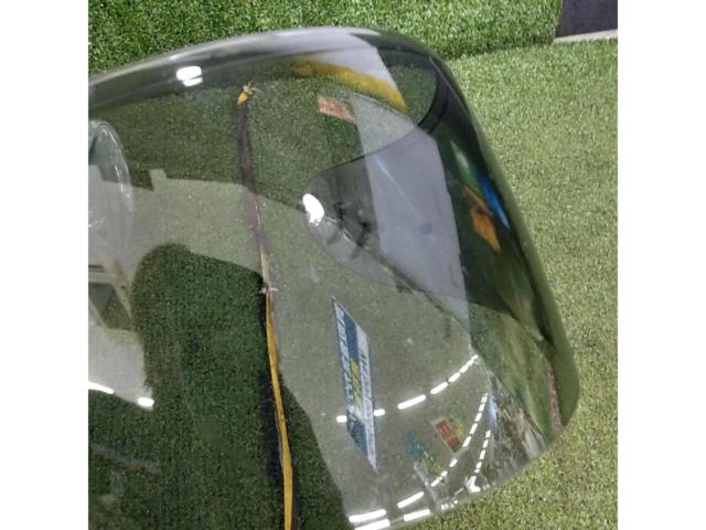 SHOEI CW-1 スモークシールド
