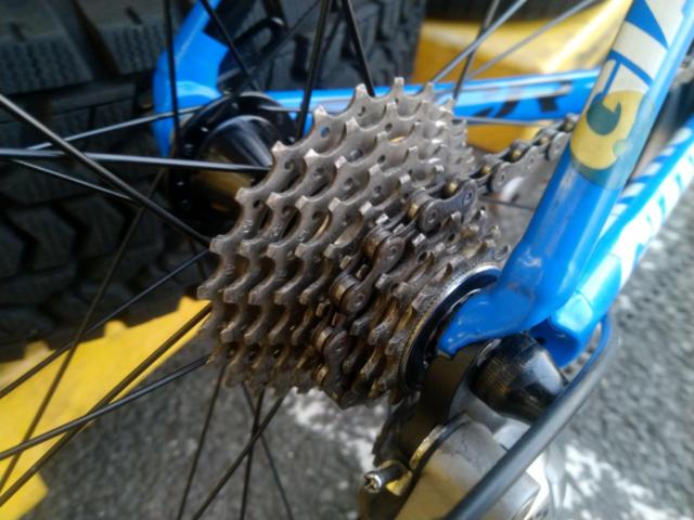 GIANT TCR