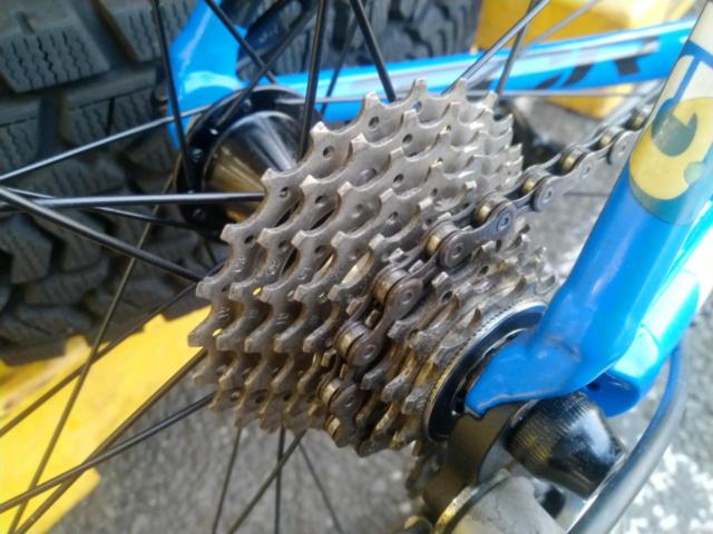 GIANT TCR