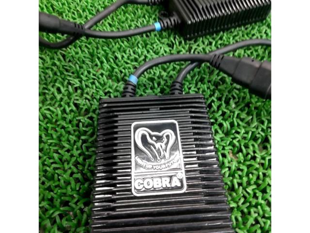 COBRA HIDキット H7/55W