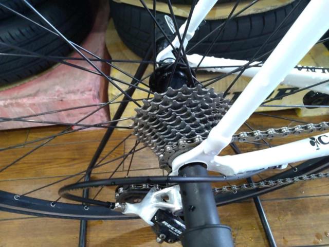 COLNAGO C-50 2×11S 外装22段変速 カーボンロードバイク ホワイト 2011年モデル