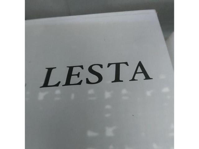 LESTA ハンドルロック