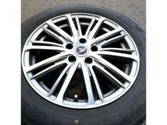 weds Fang TS10