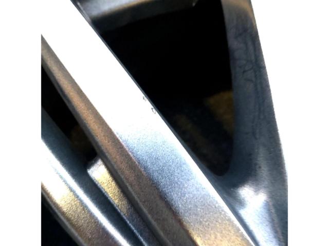 weds Fang TS10