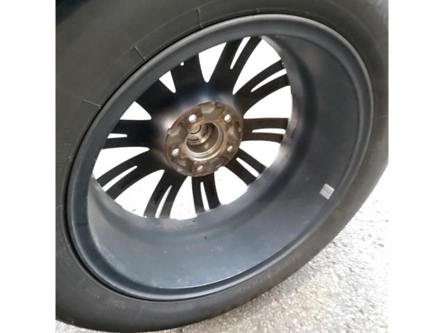 weds Fang TS10