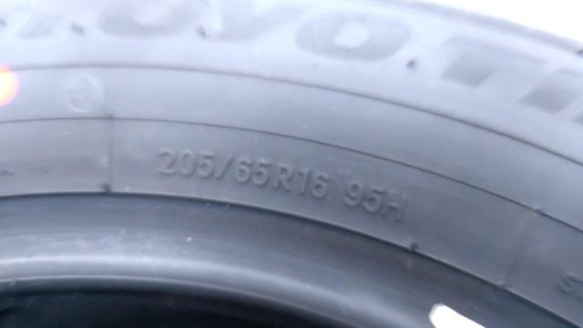 TOYO TRANPATH mp7