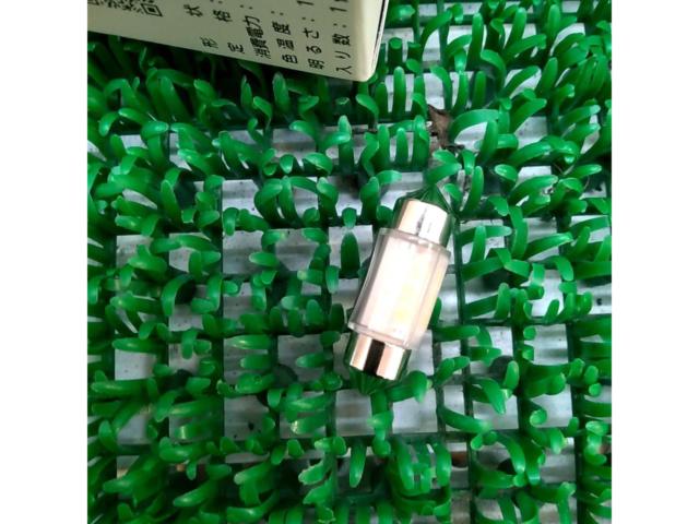 POLARG LEDルームランプ T10*31