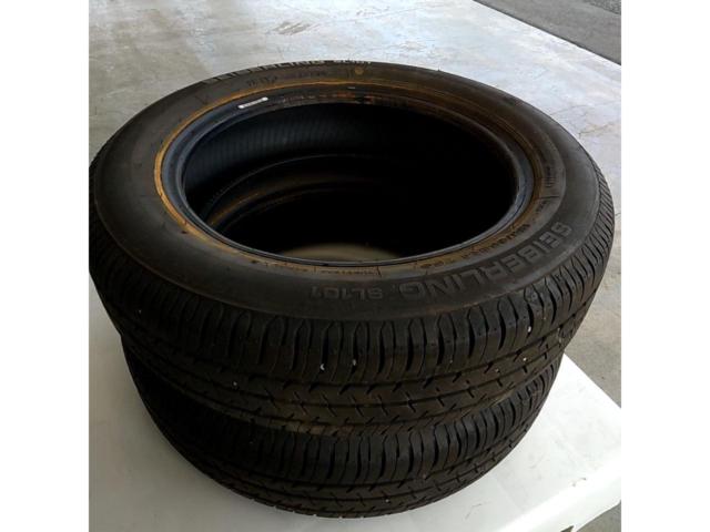 SEIBERLING SL101【タイヤのみ2本セット】