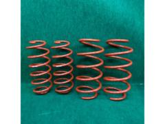 【tanabe】SUSTEC NF210